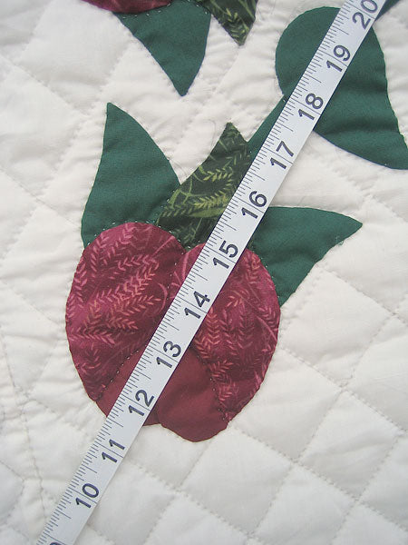 Lancaster Treasure Applique Amish Quilt 100x111