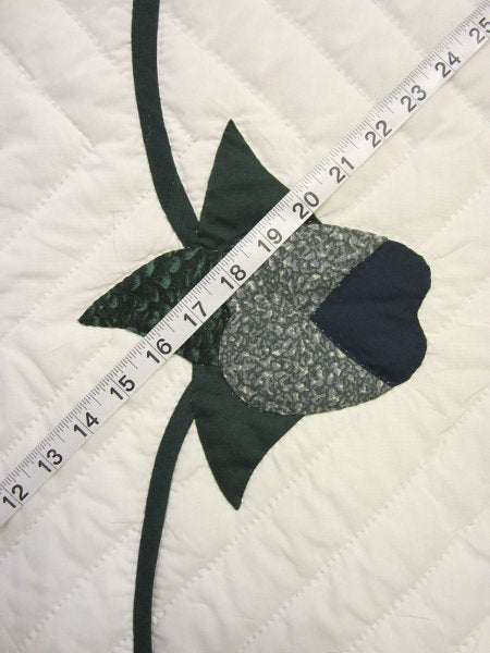 Heart of Roses Applique Amish Quilt with Border King
