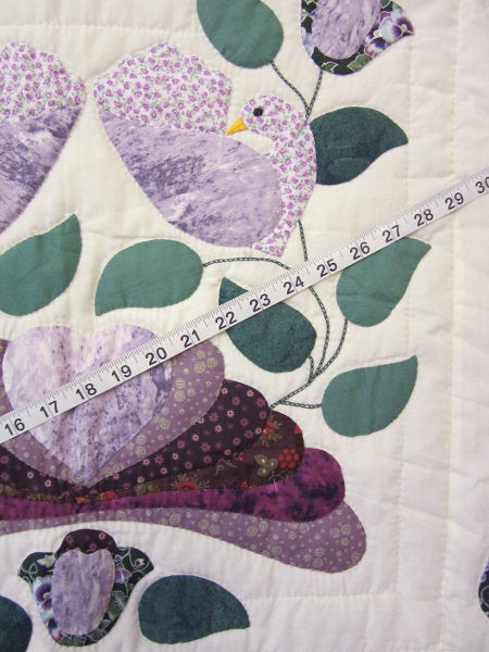 Country Bride Applique Amish Quilt 96x109