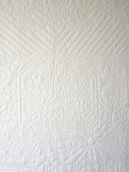 Reminisce Horse Wagon Whole Cloth Amish Quilt 90x108