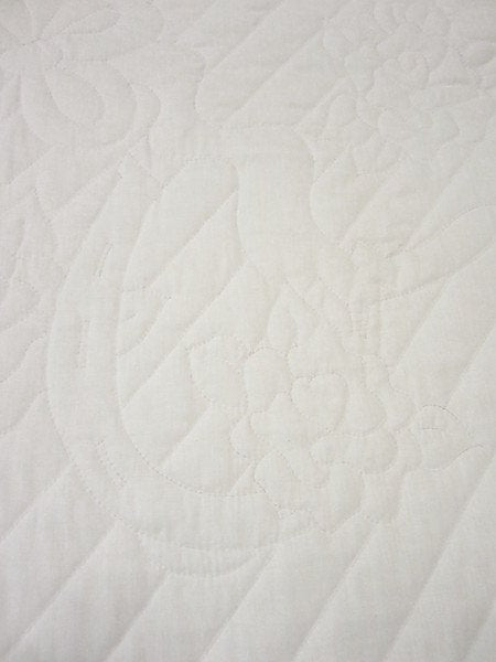 Reminisce Horse Wagon Whole Cloth Amish Quilt 90x108