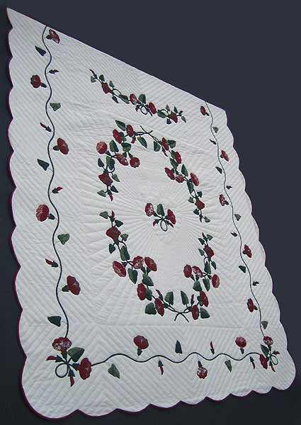 Morning Glory Applique Amish Quilt 97x112