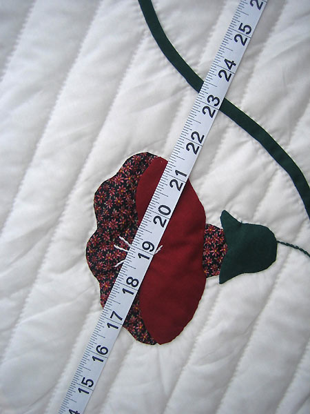 Morning Glory Applique Amish Quilt 97x112