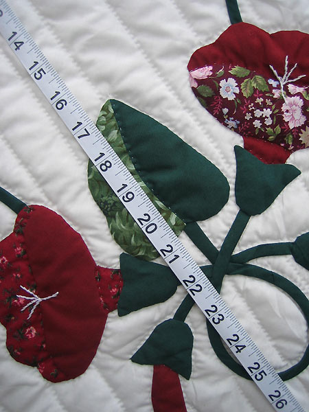 Morning Glory Applique Amish Quilt 97x112