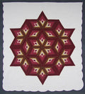 Completed Broken Star Amish Quilt 100x112