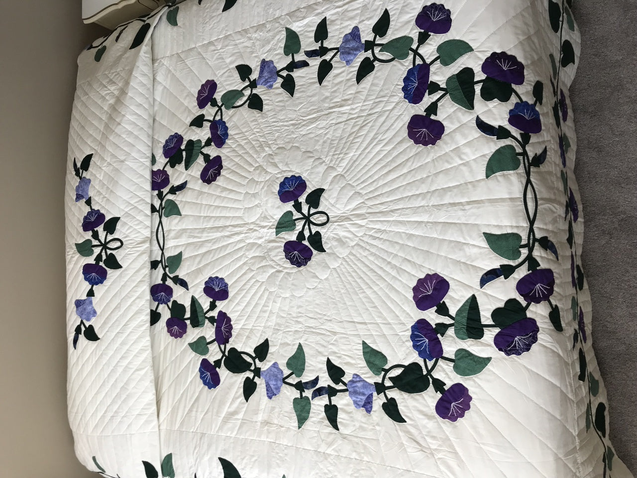 Morning Glory Applique