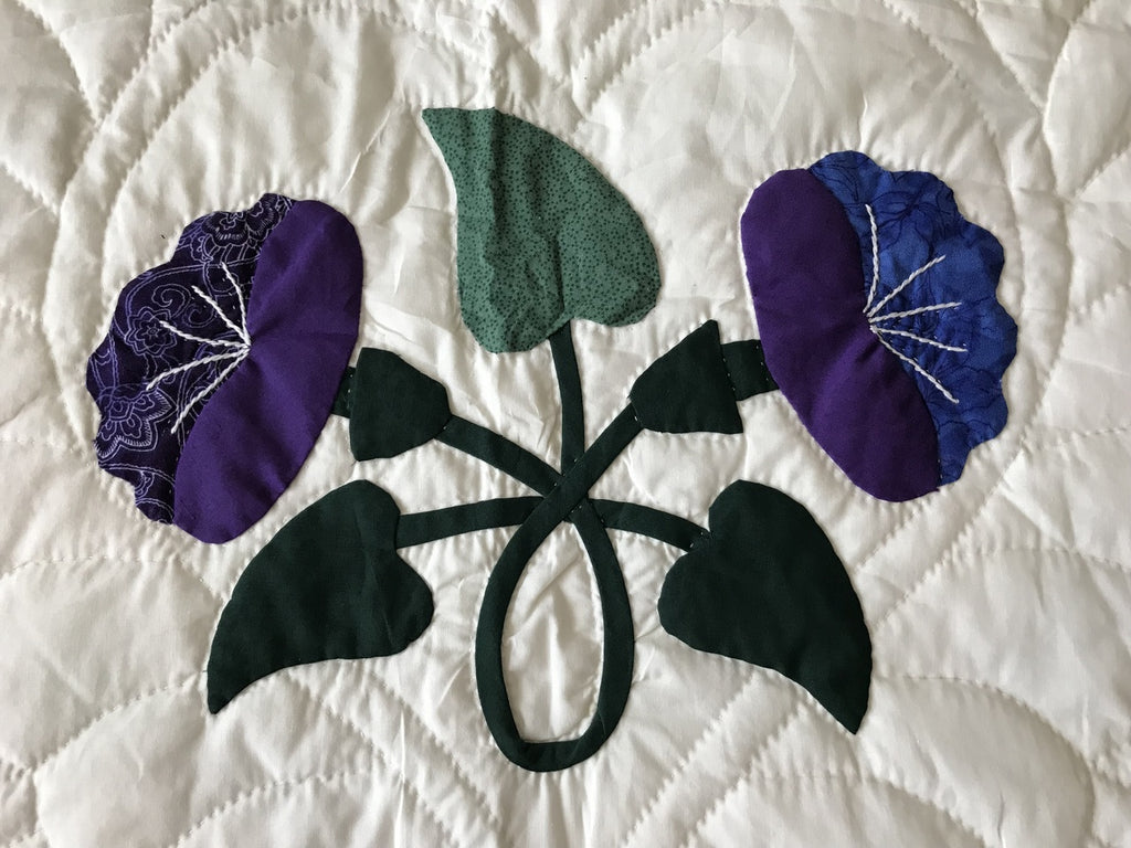Morning Glory Applique