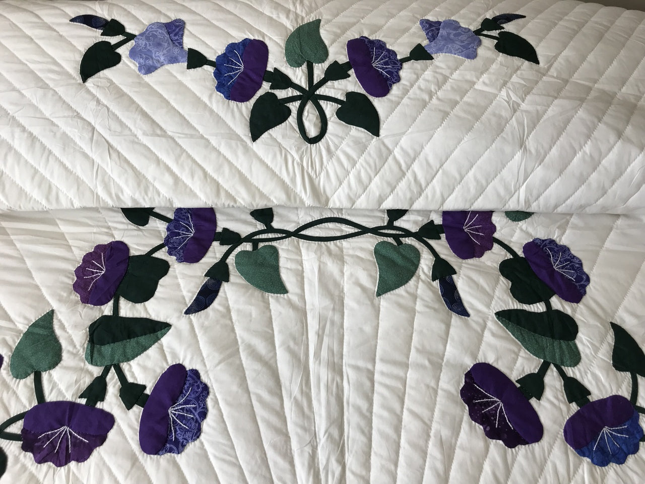 Morning Glory Applique