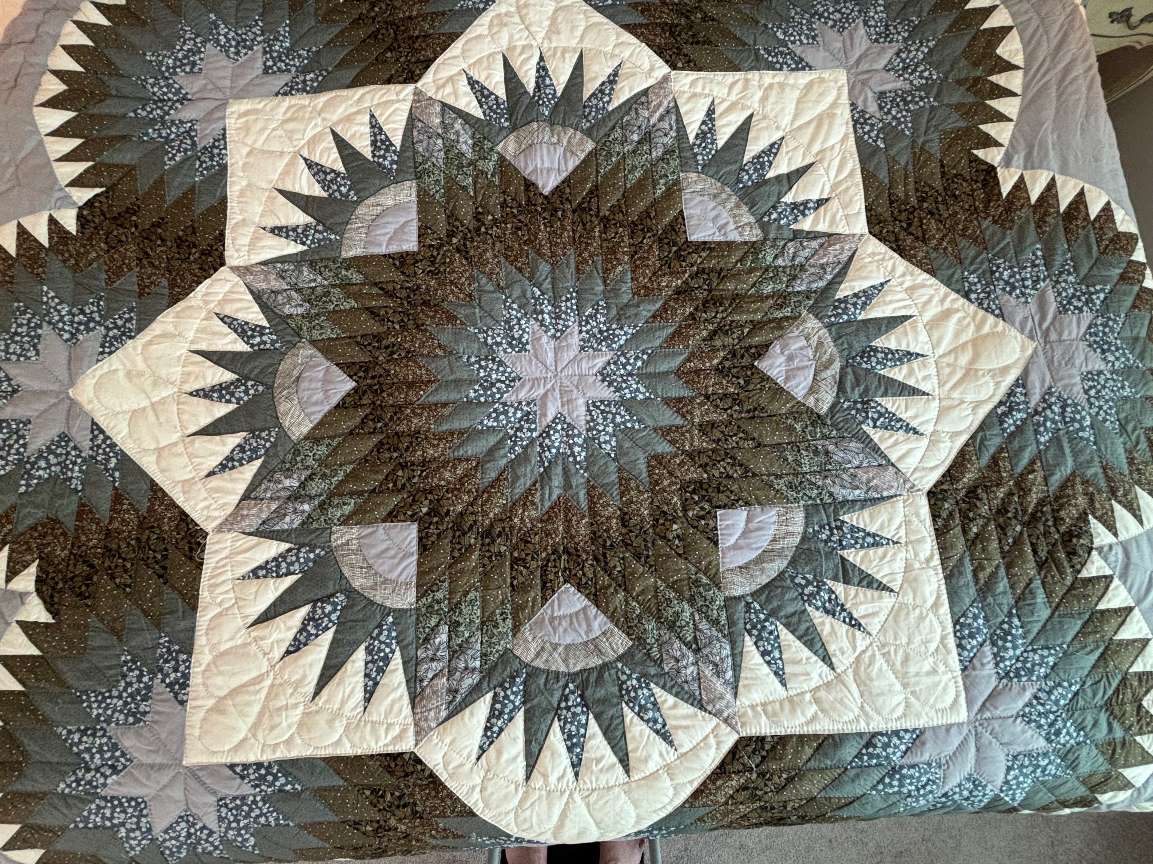 Majestic Feathered Star
